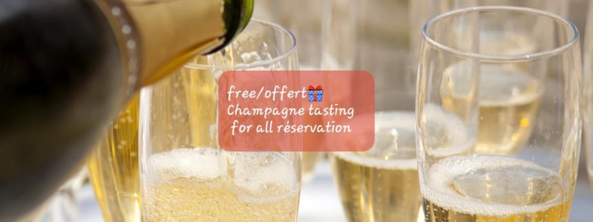 Les Loges Du Theatre Degustation Champagne Offerte Jacuzzi Sauna Jeux Velos Maison Prive 150M2 Historique 14Pers Max Emplacement Exceptionnel Et Chic, 200M De L'Avenue De Champagne, Gare, Musee, Jardins, Restaurations, Toutes Commodites Épernay Exterior foto